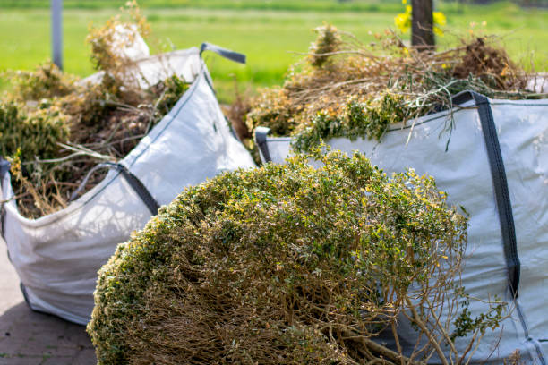 Best Full-Service Junk Removal  in Joseph City, AZ